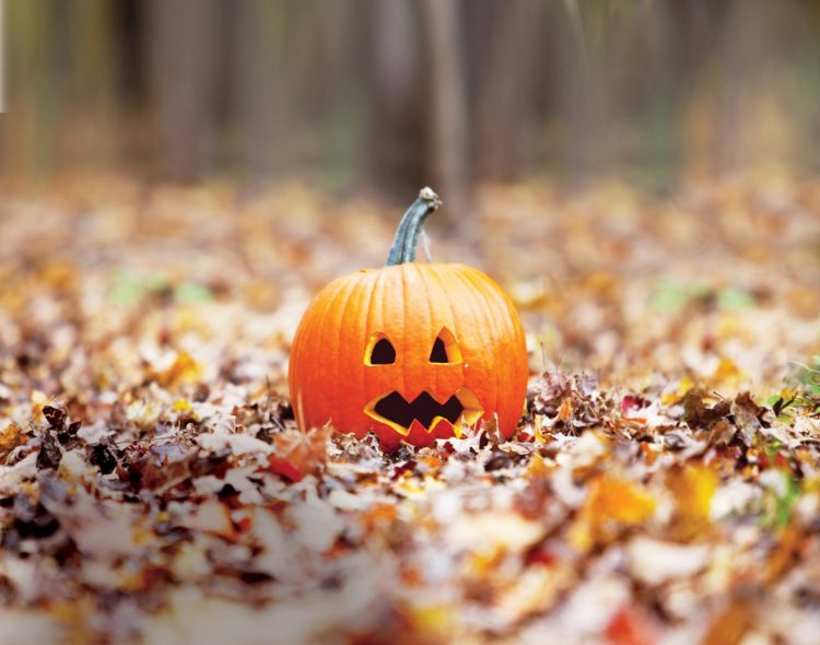 Pumpkin, Seasonal, Halloween